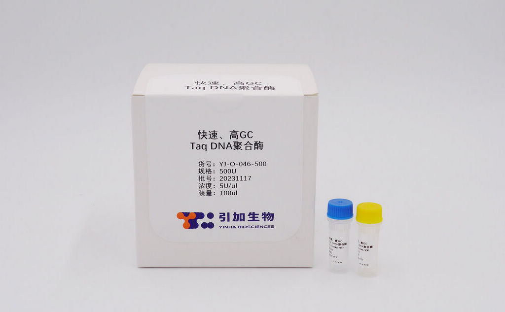 快速、高GC Taq DNA聚合酶