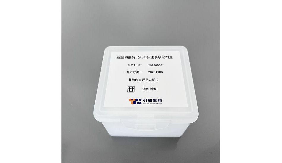 堿性磷酸酶(ALP)快速偶聯試劑盒