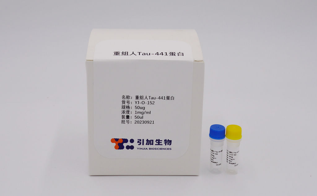 重組人Tau-441蛋白(磷酸化及非磷酸化)
