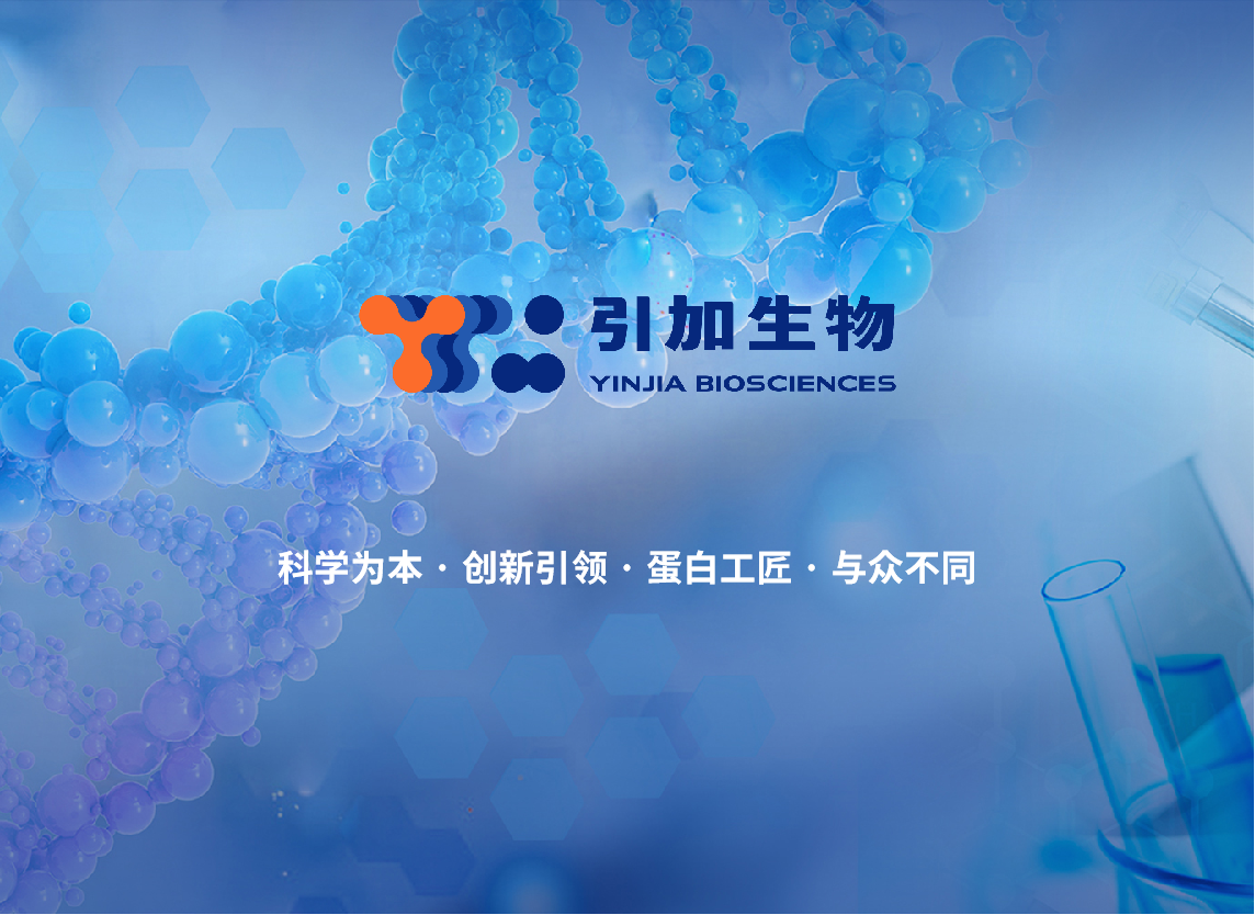 重組人白細胞介素1 Beta(IL-1 Beta)